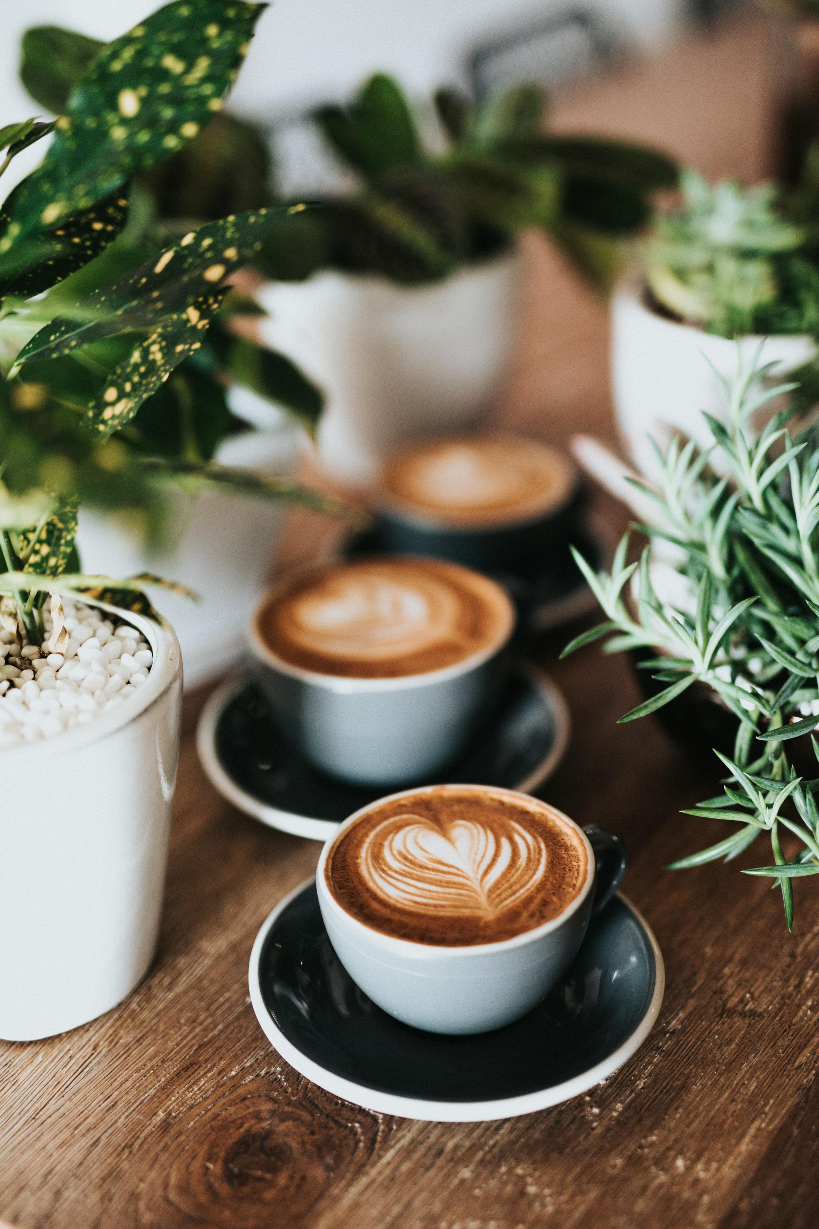 Brazilian Dark Roast